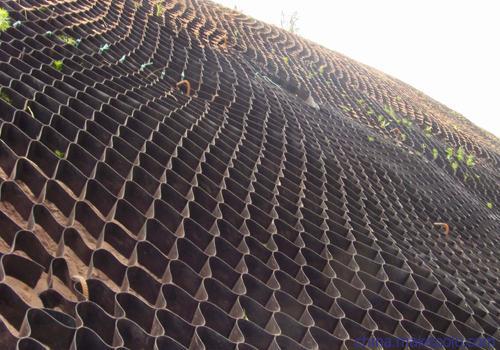 風(fēng)沙地區(qū)邊坡防護土工格室