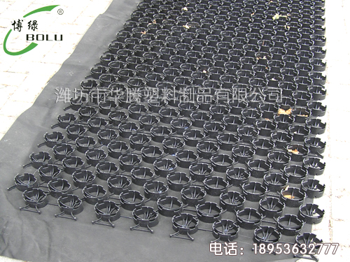 為什么道路兩邊的草地要使用植草板？